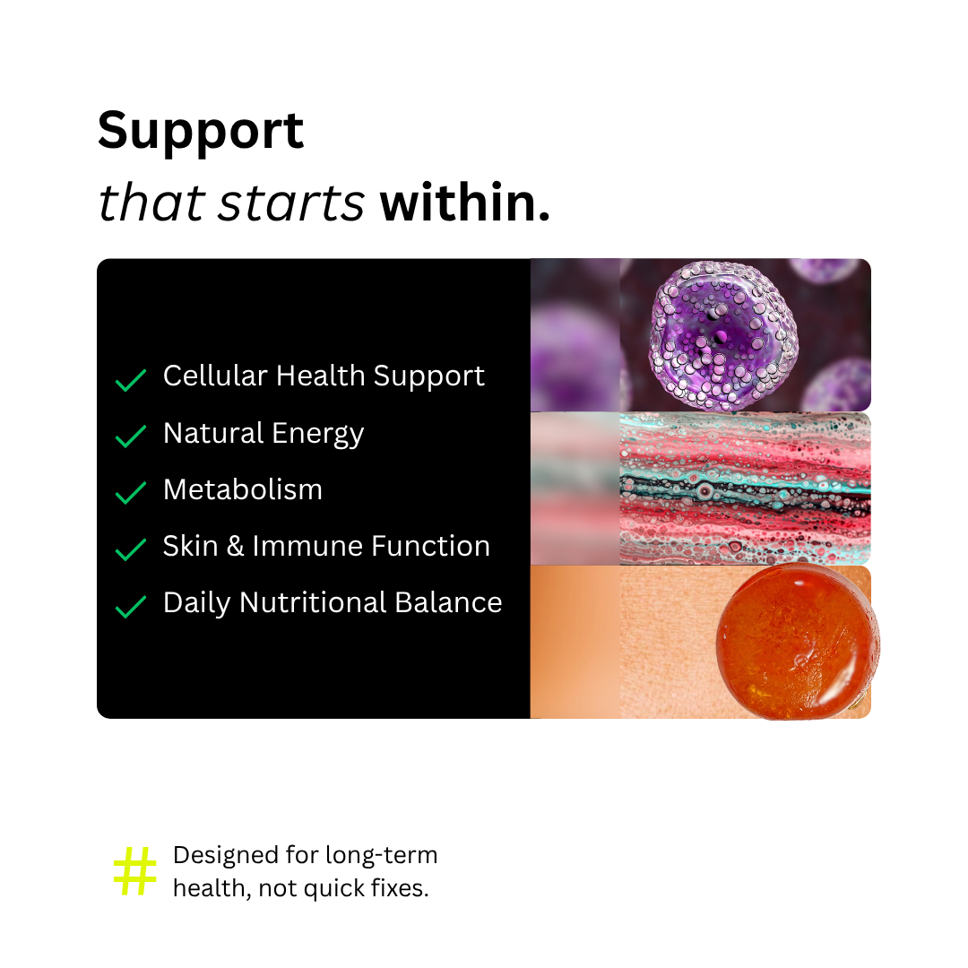 CoreEssentials Multivitamin Gummies for Daily Wellness, Immunity, Energy & Micronutrient Support | 30 Gummies | Strawberry Flavor | By NUVANOS - Image 4