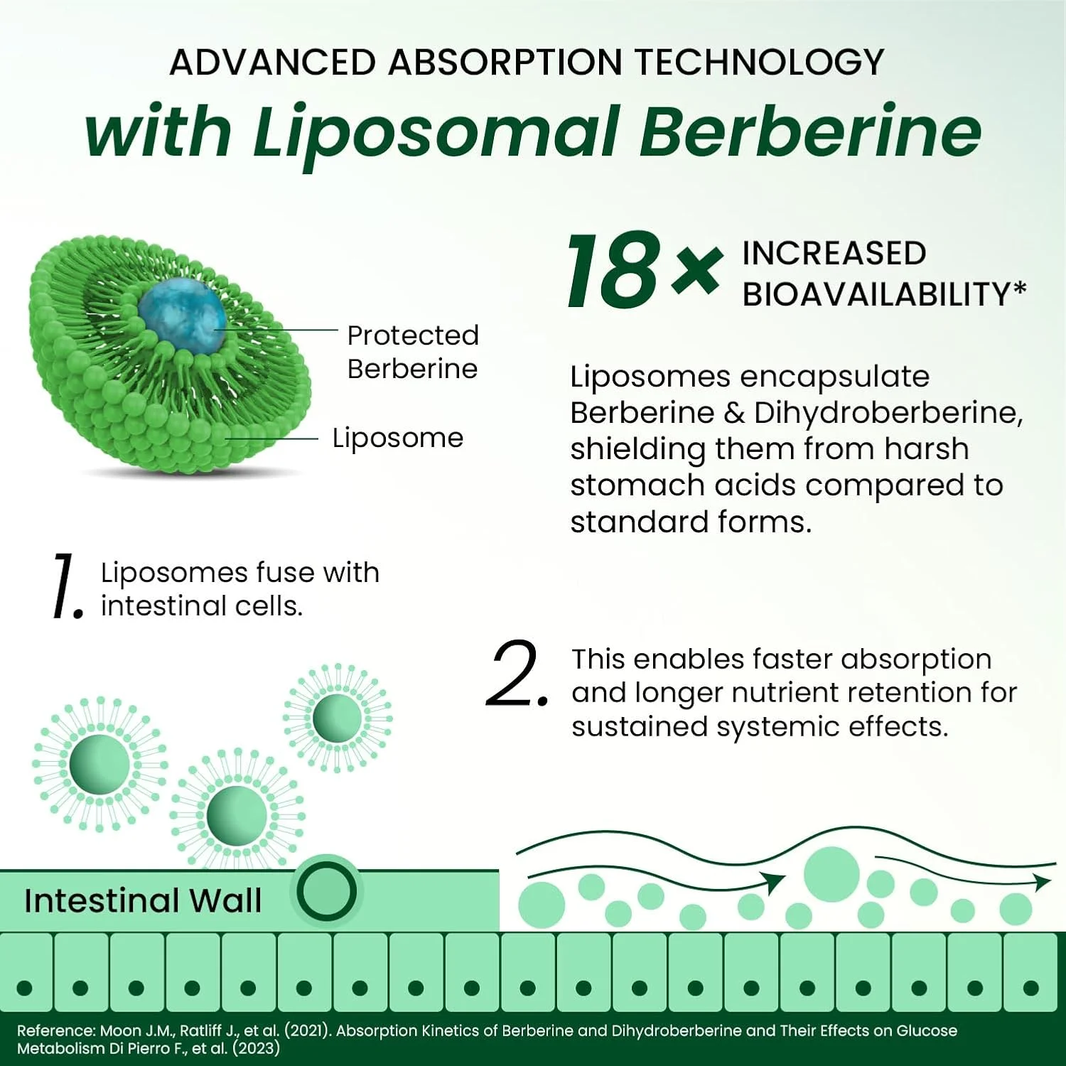 Berberine HCL liposomal tablets for metabolism