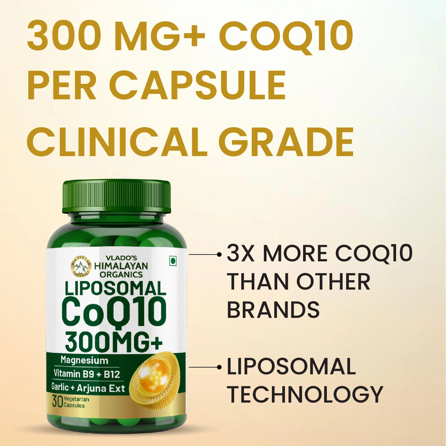 CoQ10 capsules with magnesium and B vitamins