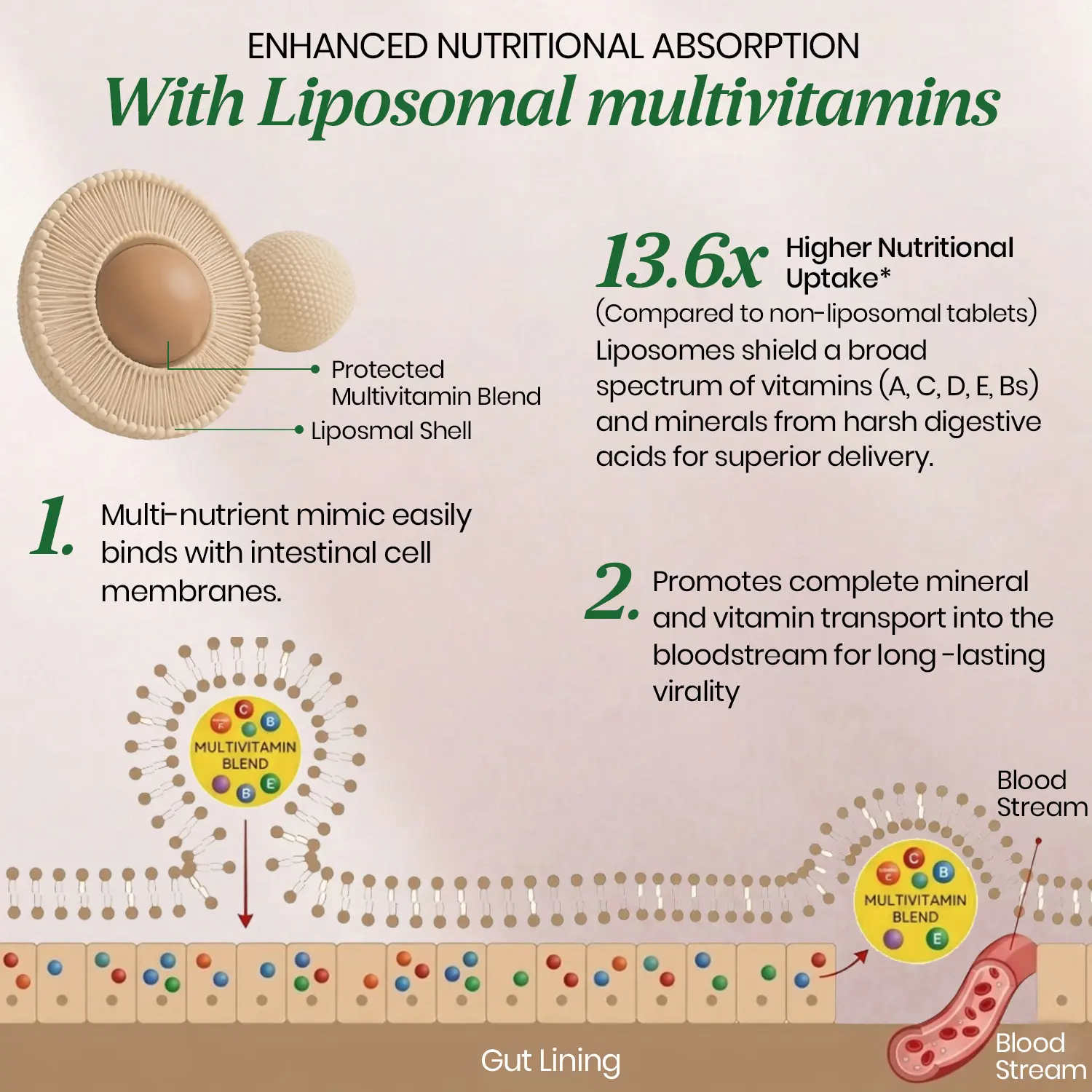 Vlado’s Himalayan Organics Liposomal Multivitamin