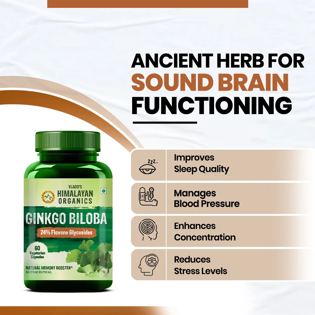 Ginkgo Biloba Brahmi Capsules for Memory and Focus