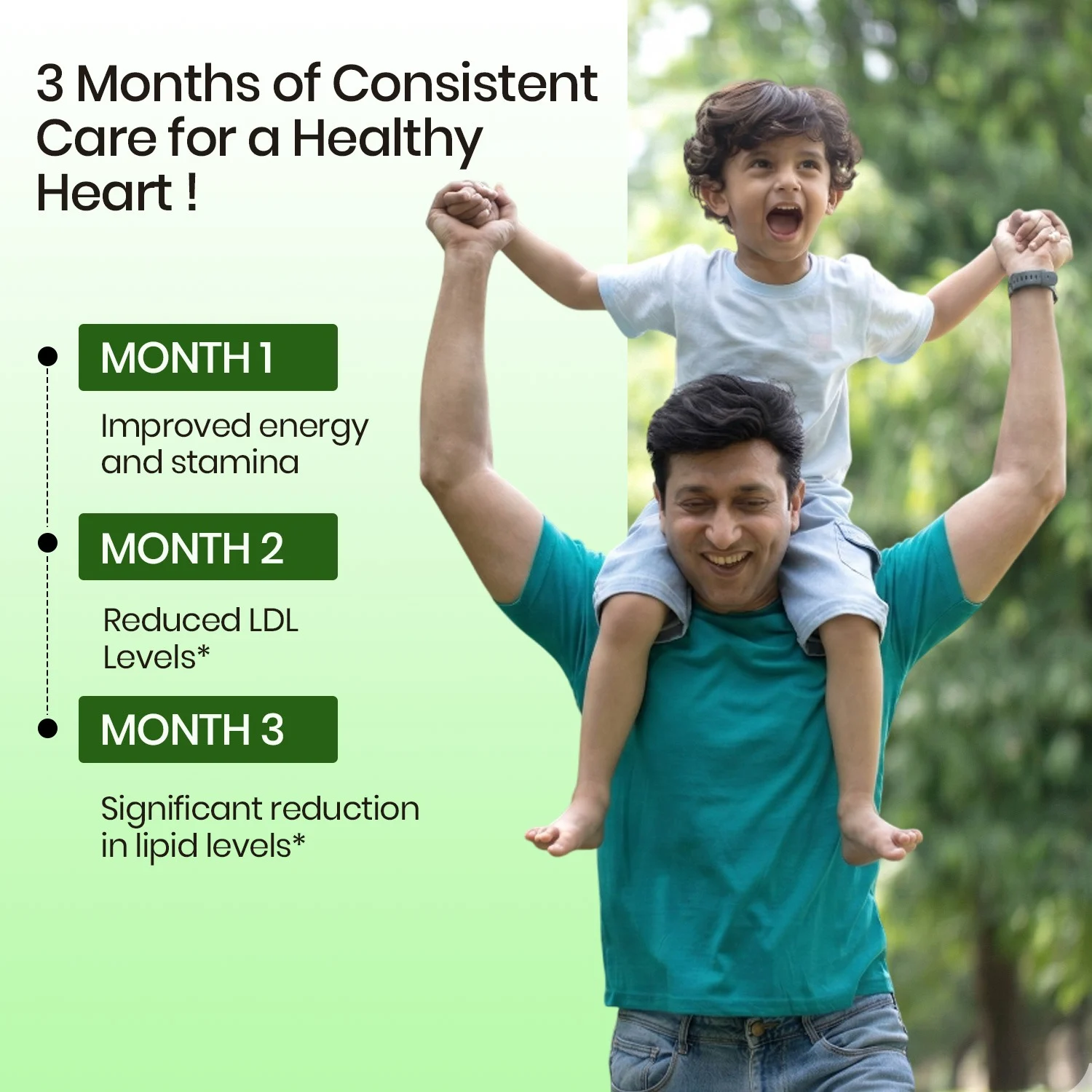 Vlado Himalayan Organics Cholesterol Control Supplement 3-Month Care Package