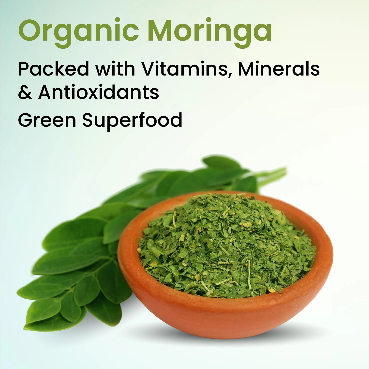 Vlado's Himalayan Organics Moringa Tablets Green Powder Pack