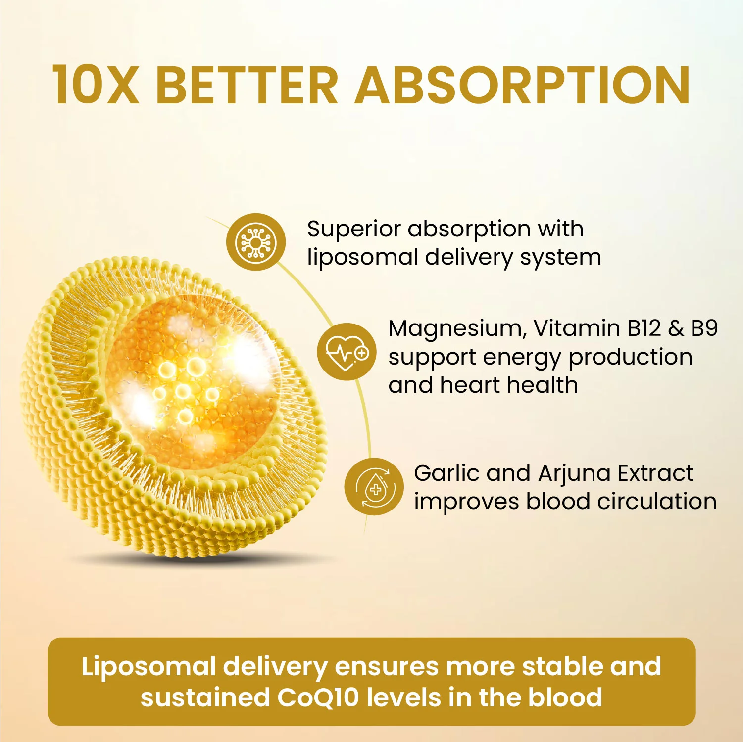 CoQ10 capsules with magnesium and B vitamins