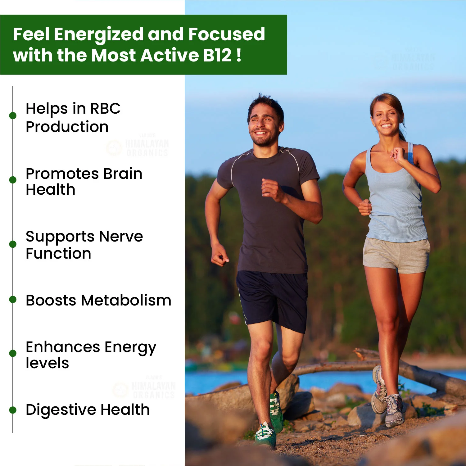 Vlado’s Himalayan Organics B12 1500 mcg tablets
