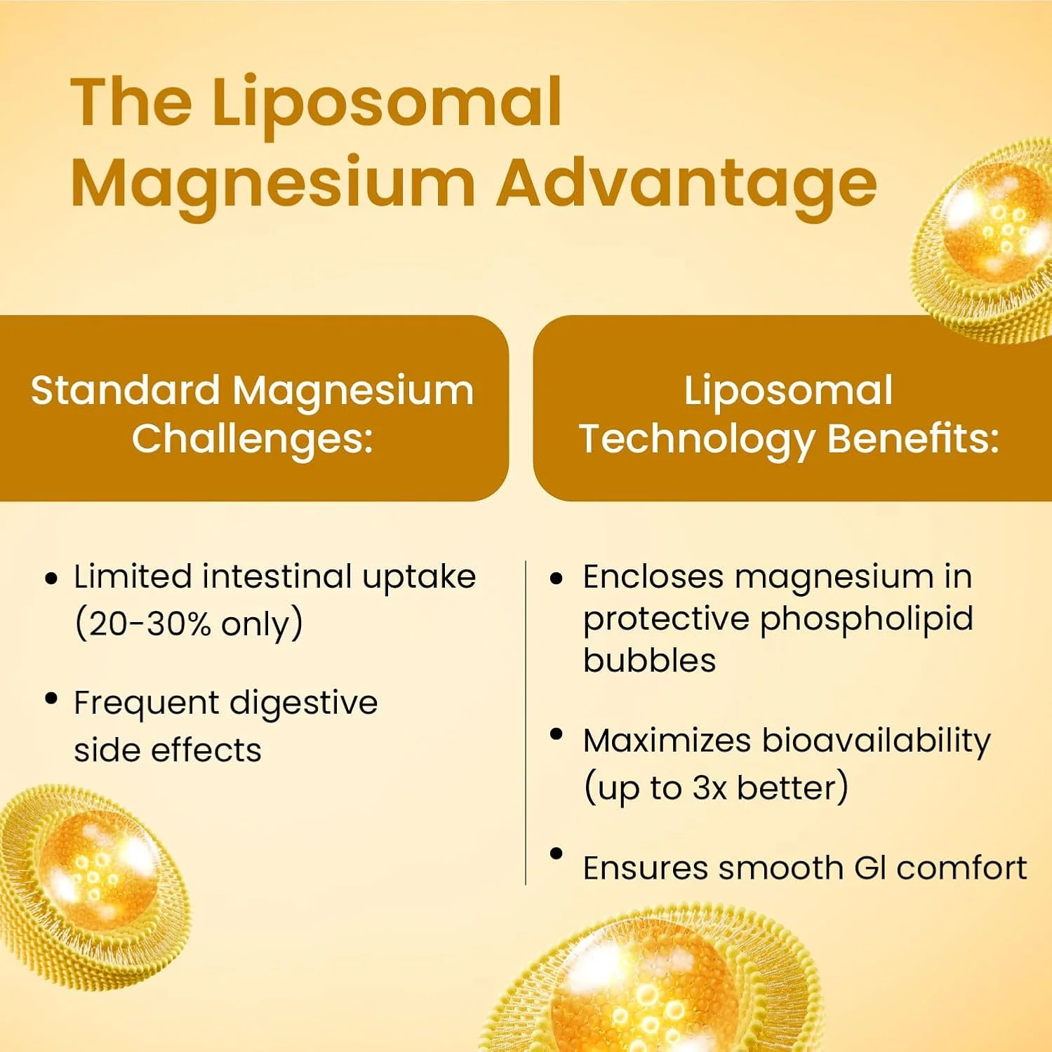 Himalayan magnesium supplement 2100mg complex