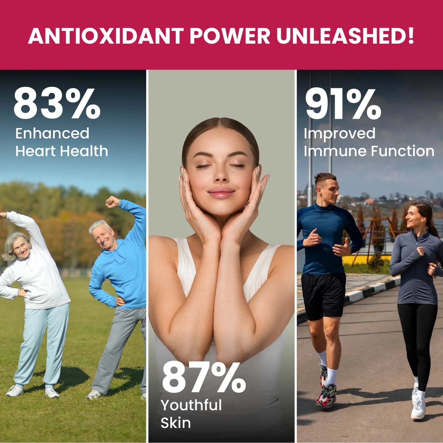 Resveratrol supplement with grape seed extract