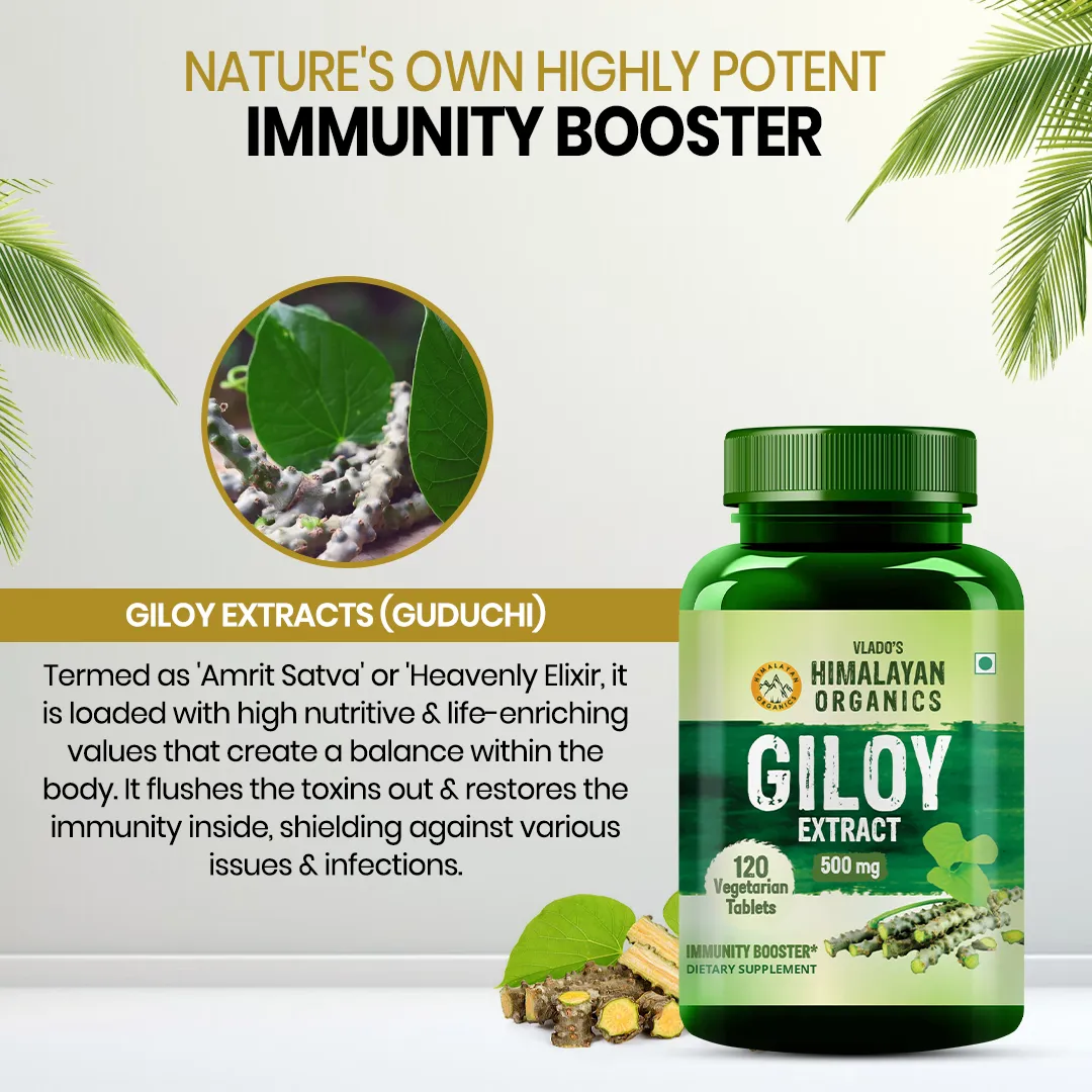 Bottle of Vlado's Himalayan Organics Giloy Extract 500mg tablets