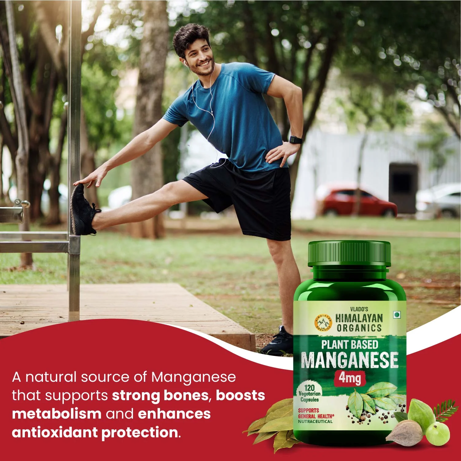 Plant based manganese supplement capsules