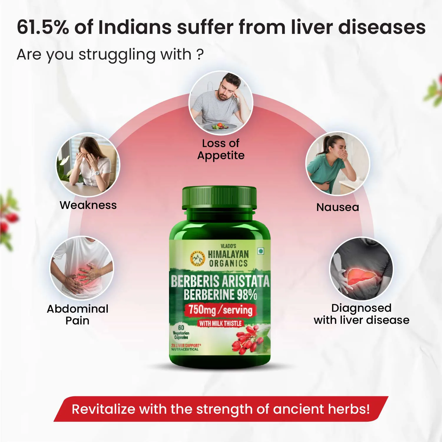 Berberine 98 milk thistle liver support capsules