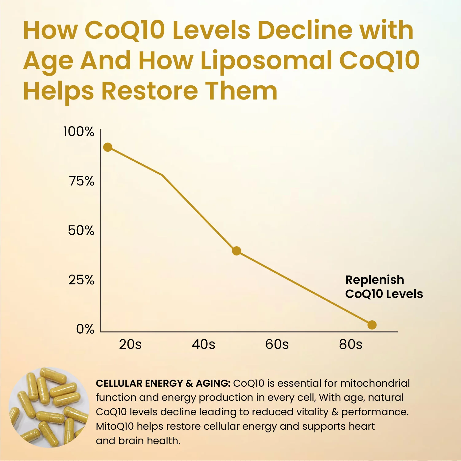 CoQ10 capsules with magnesium and B vitamins