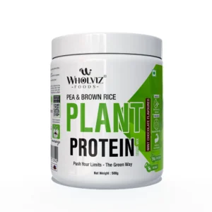 Wholviz Foods Plant Protein Mint Chocolate 500g | Pea & Brown Rice Protein | Vegan Protein | 24g Protein Per Serving