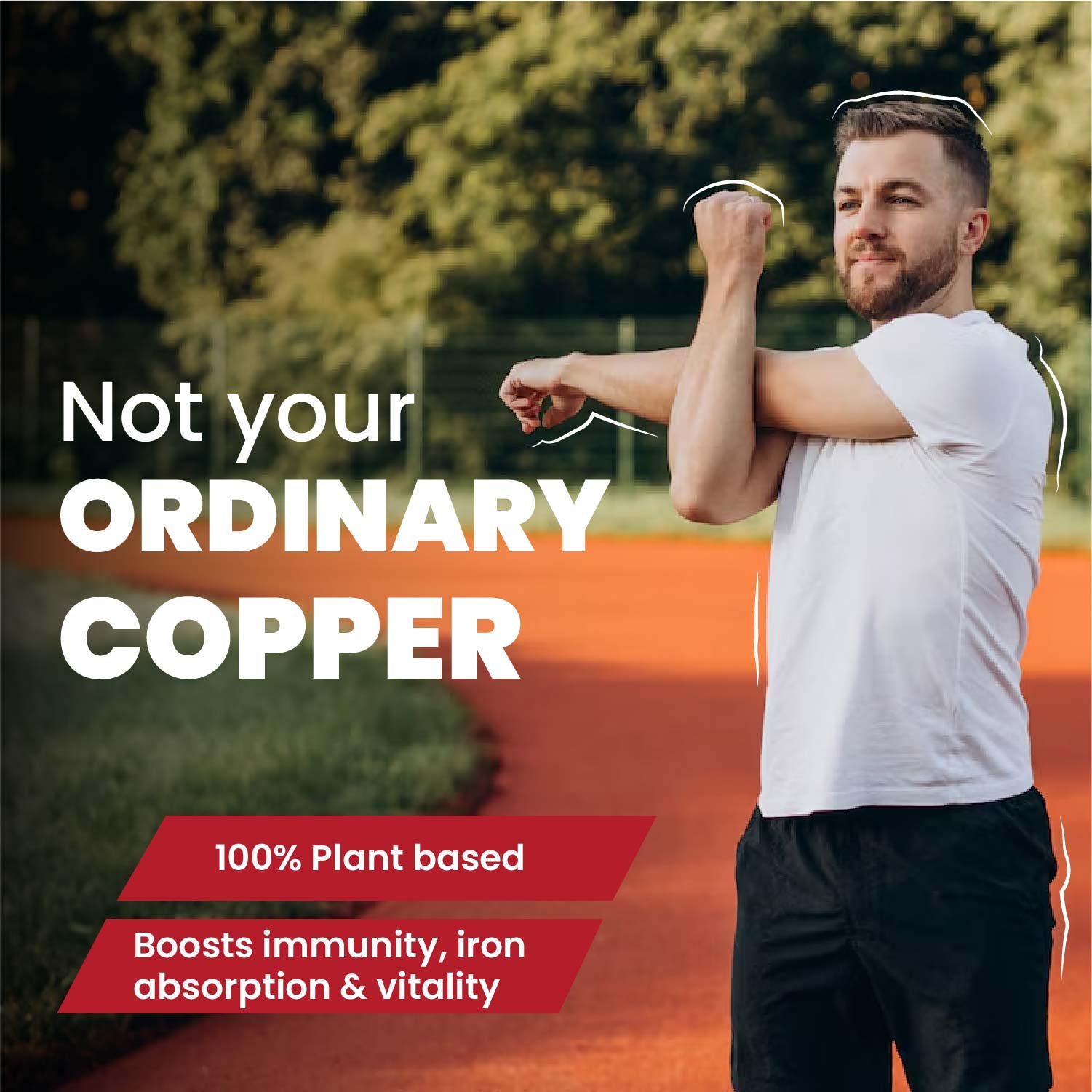 Vlado’s Himalayan Organics Plant Based Copper 1700mcg Supplement with Green Tea Extract | Support Connective Tissues | Good For Bone Health - 120 Veg Capsules - Image 6