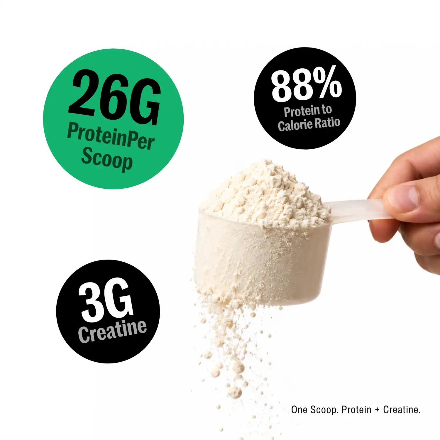 The Func. Lab CreaProtein Plant Protein Powder Chocolate 500 g | Premium 25g Plant Protein + 3g Creatine Per Serving, Real Cocoa, Himalayan Pink Salt & Zero Sugar - Image 5